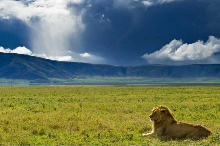2 Days/1Night Tarangire & Ngorongoro Crater.